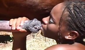 1ddbet.bet - latina,bestialidade de cavalo