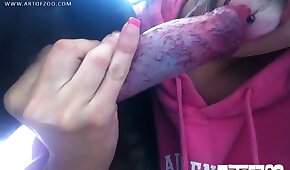 boquete,sexo de cachorro