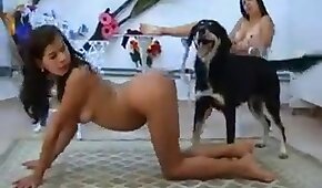 latina,sexo de cachorro