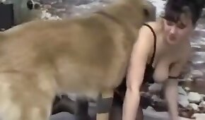 mamãe,sexo de cachorro