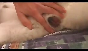 vídeos de bestialidade,cachorrinho xxx