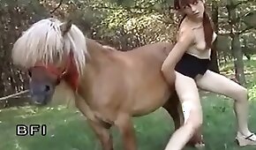 sexo com animais,bestialidade de cavalo