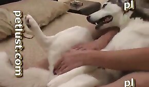 com tesão,sexo de cachorro