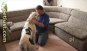 boquete,bestialidade pornô