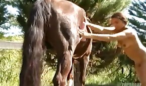 sexo com animais,bestialidade de cavalo