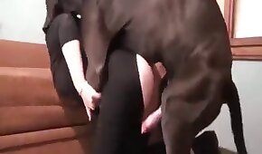 jogo de sinuca valendo dinheiro - hundesex,dyr fanden sex