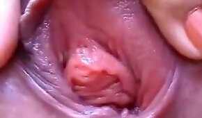 sexo com animais,bestialidade de cavalo