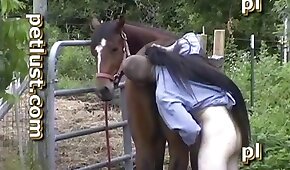 com tesão,zoológico foda pornô