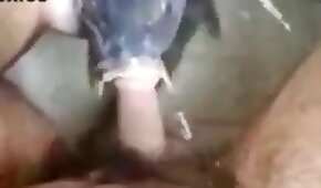 boquete,bestialidade pornô